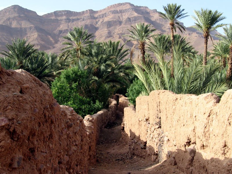 <h1>TOUR 2 DAYS 1 NIGHT IN ZAGORA DESERT AND DARAA VALLEY</h1>